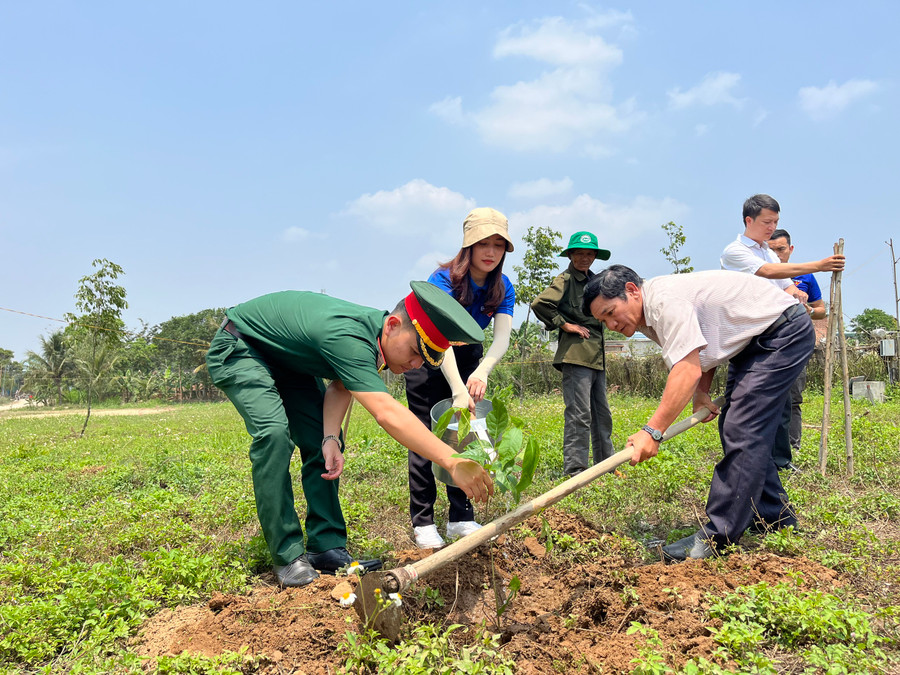 Dịp này, các đoàn viên tặng 100 cây kèn hồng để trồng trong khuôn viên Đền tưởng niệm Liệt sĩ Tú Thủy (xã Tú An, thị xã An Khê). Ảnh: Phương Vi Dịp này, các đoàn viên tặng 100 cây kèn hồng để trồng trong khuôn viên Đền tưởng niệm Liệt sĩ Tú Thủy (xã Tú An, thị xã An Khê). Ảnh: Phương Vi