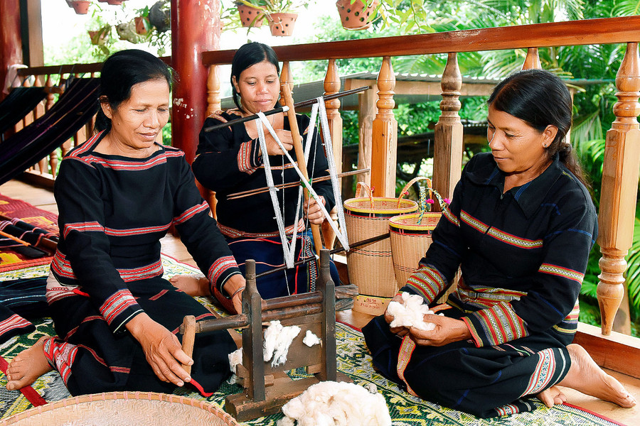 Bông hái về được phơi khô, sau đó bật cho tơi rồi vo thành từng cục bông nhỏ, tiếp đến là xe thành chỉ bằng một dụng cụ quay sợi.