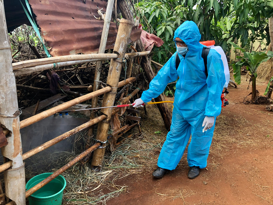 Lực lượng chức năng huyện Đak Đoa phun tiêu độc, khử trùng khu vực chăn nuôi để hạn chế véc tơ gây bệnh. Ảnh Lê Nam Lực lượng chức năng huyện Đak Đoa phun tiêu độc, khử trùng khu vực chăn nuôi để hạn chế véc tơ gây bệnh. Ảnh Lê Nam