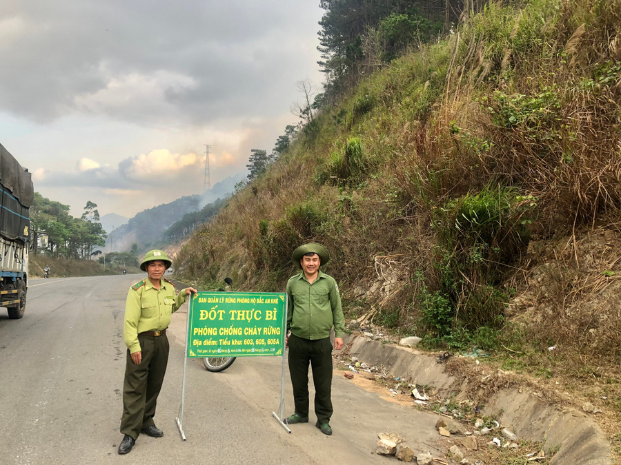Ban Quản lý rừng phòng hộ Bắc An Khê tổ chức đốt thực bì để đảm bảo công tác PCCCR. Ảnh: Lê Nam Ban Quản lý rừng phòng hộ Bắc An Khê tổ chức đốt thực bì để đảm bảo công tác PCCCR. Ảnh: Lê Nam