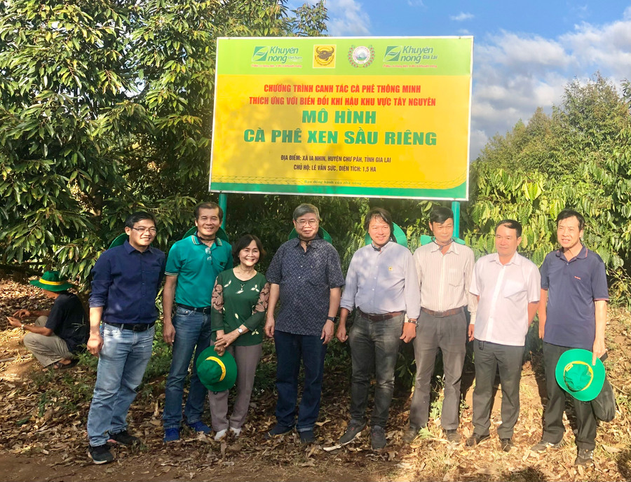 Các chuyên gia, nhà khoa học tham quan và kiểm tra mô hình cà phê xen sầu riêng tại xã Ia Nhin, huyện Chư Păh. Ảnh: Lê Nam