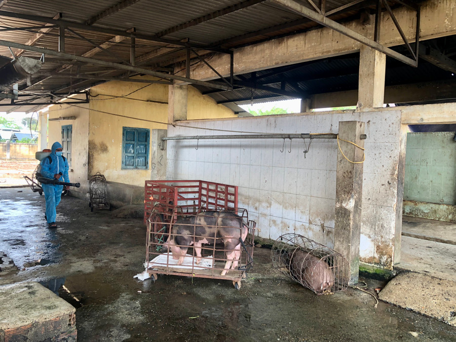 Cán bộ thú y huyện krông Pa phun khử khuẩn khu vực lò giết mổ tập trung của huyện. Ảnh: Lê Nam Cán bộ thú y huyện krông Pa phun khử khuẩn khu vực lò giết mổ tập trung của huyện. Ảnh: Lê Nam