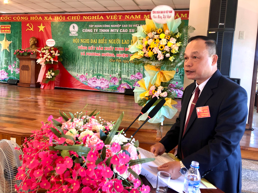 Phó Chủ tịch UBND tỉnh Dương Mah Tiệp phát biểu tại hội nghị. Ảnh: Lê Nam