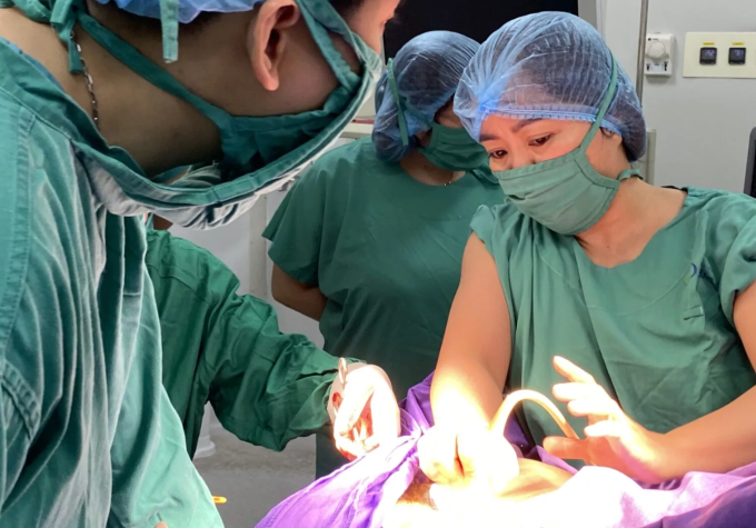 Ảnh minh họa Ảnh minh họa