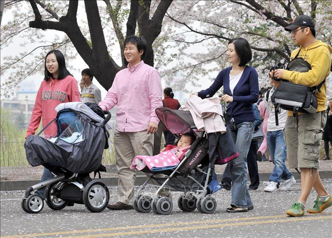 Các bố mẹ đưa con đi dạo tại Seoul, Hàn Quốc. Ảnh: AFP Các bố mẹ đưa con đi dạo tại Seoul, Hàn Quốc. Ảnh: AFP