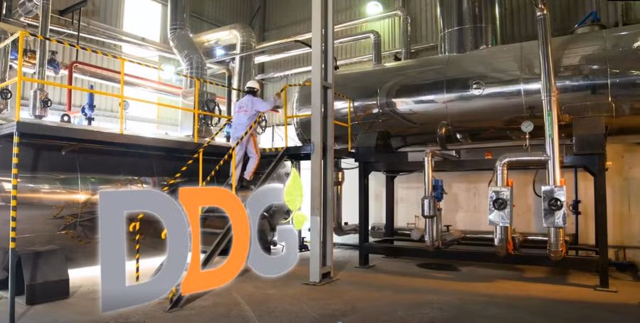 Công ty cổ phần Đầu tư Công nghiệp Xuất nhập khẩu Đông Dương bị phạt tổng cộng 685 triệu đồng