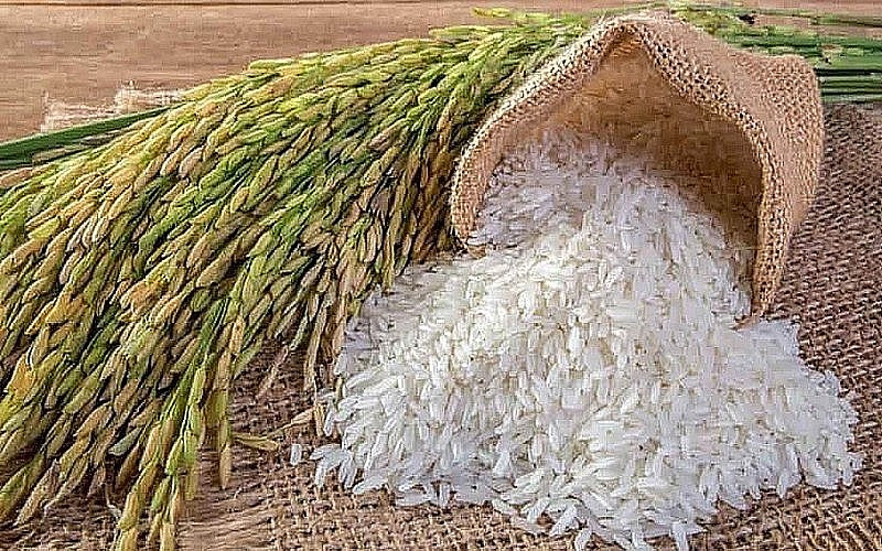 Việt Nam chi khoảng 670 triệu USD để nhập khẩu gạo