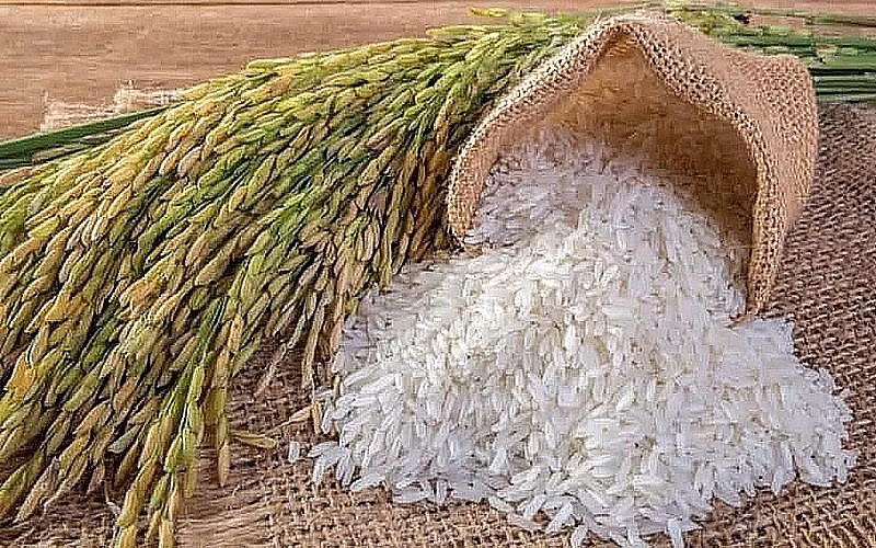 Việt Nam chi khoảng 670 triệu USD để nhập khẩu gạo