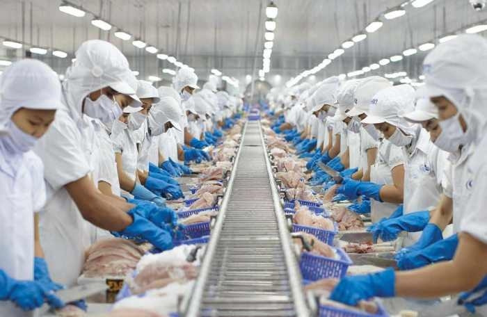 Vĩnh Hoàn (VHC) bị HoSE nhắc nhở do chậm nộp báo cáo tài chính quý I-2024