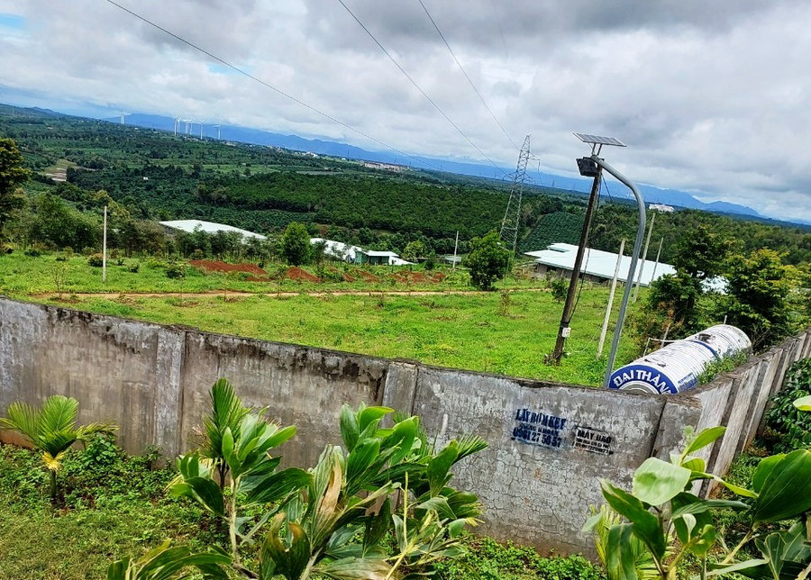 Trang trại chăn nuôi heo của bà Liên tại xã Ia Kênh, TP.Pleiku. Ảnh: H.V