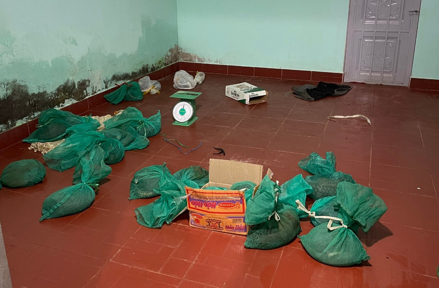 32 cá thể động vật hoang dã bị phát hiện, bắt giữ tại nhà đối tượng Tám. Ảnh: Công an tỉnh Gia Lai