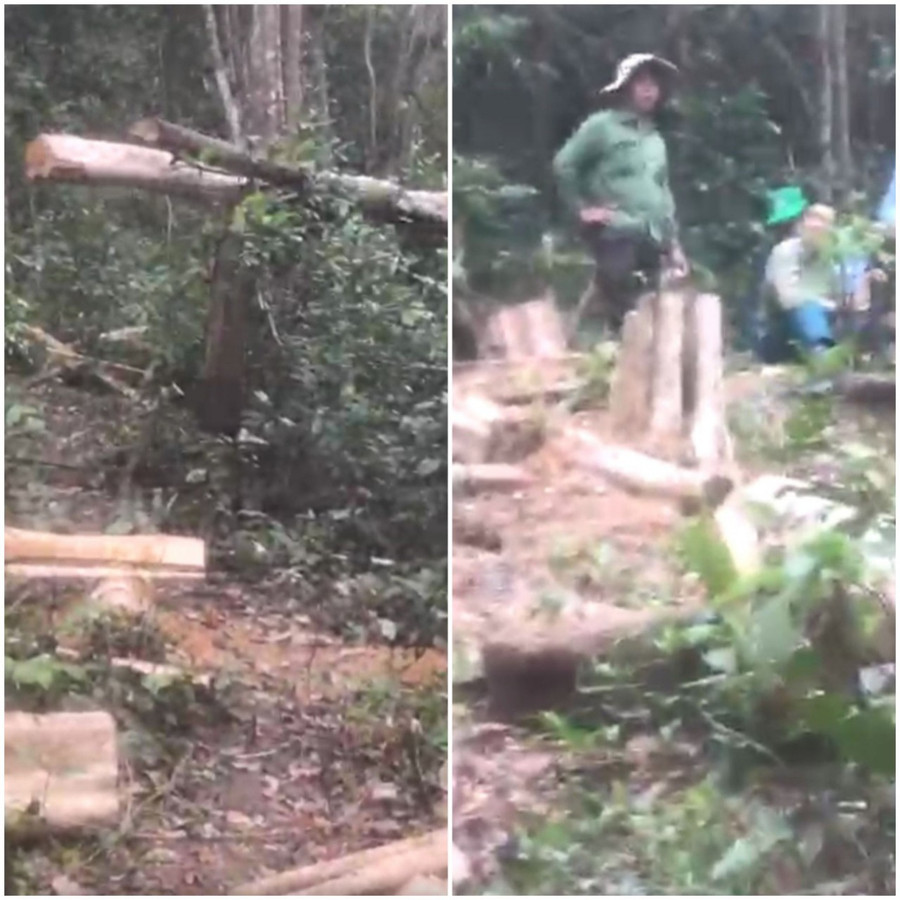 Hiện trường vụ phá rừng xảy ra tại xã Sró. Ảnh: TĐ
