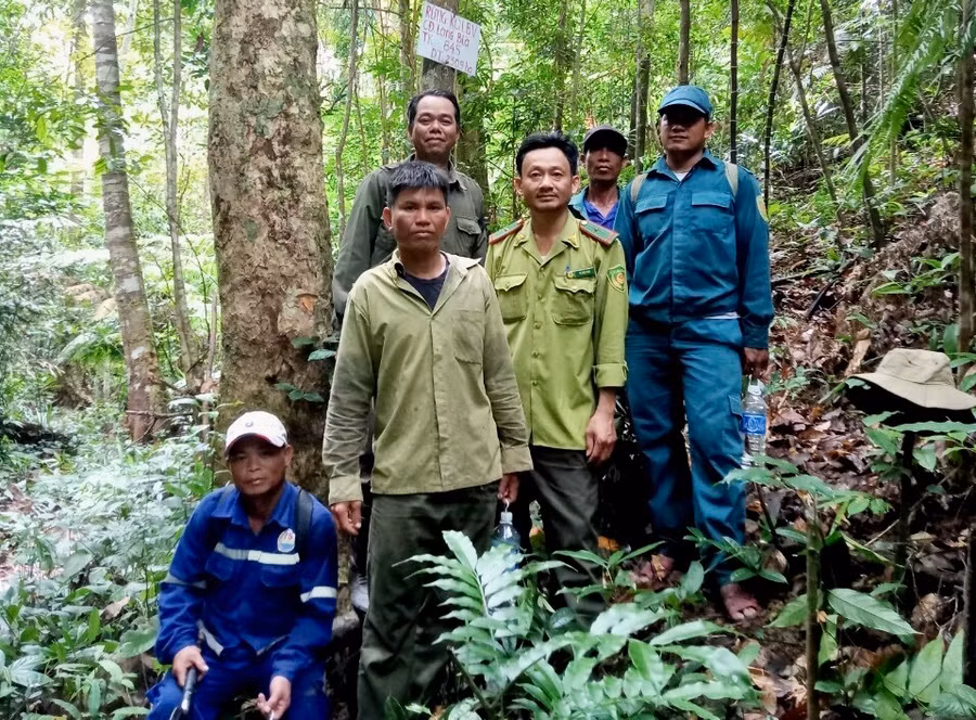 Cộng đồng làng B'là (xã Đak Song, huyện Kông Chro) thường xuyên chia tổ để tuần tra, bảo vệ rừng. Ảnh: Lê Nam