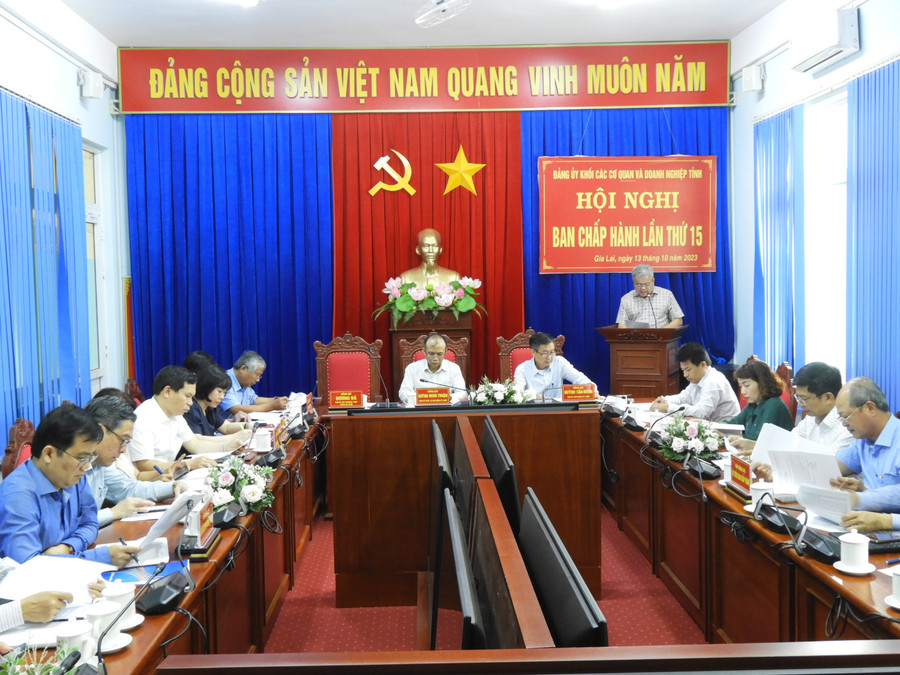 Quang cảnh Hội nghị Ban Chấp hành Đảng bộ Khối các cơ quan và Doanh nghiệp tỉnh lần thứ 15 (khoá VIII). Ảnh Thanh Nhật