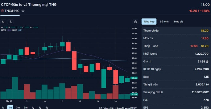 Giá đóng cửa của cổ phiếu TNG ngày 30-10. Nguồn: Fireant