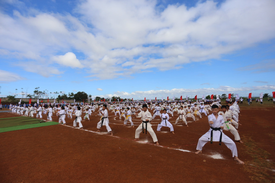 Hàng trăm môn sinh tham gia đồng diễn võ thuật. Ảnh: Văn Ngọc Hàng trăm môn sinh tham gia đồng diễn võ thuật. Ảnh: Văn Ngọc