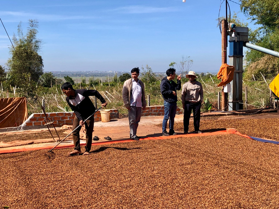 HTX Nông nghiệp Glar liên kết với người dân và Công ty TNHH Vĩnh Hiệp sản xuất cà phê 4C. Ảnh: Lê Nam HTX Nông nghiệp Glar liên kết với người dân và Công ty TNHH Vĩnh Hiệp sản xuất cà phê 4C. Ảnh: Lê Nam