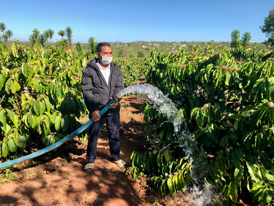 Ông Uê tưới nước cho diện tích cà phê của gia đình mình. Ảnh: Lê Nam Ông Uê tưới nước cho diện tích cà phê của gia đình mình. Ảnh: Lê Nam