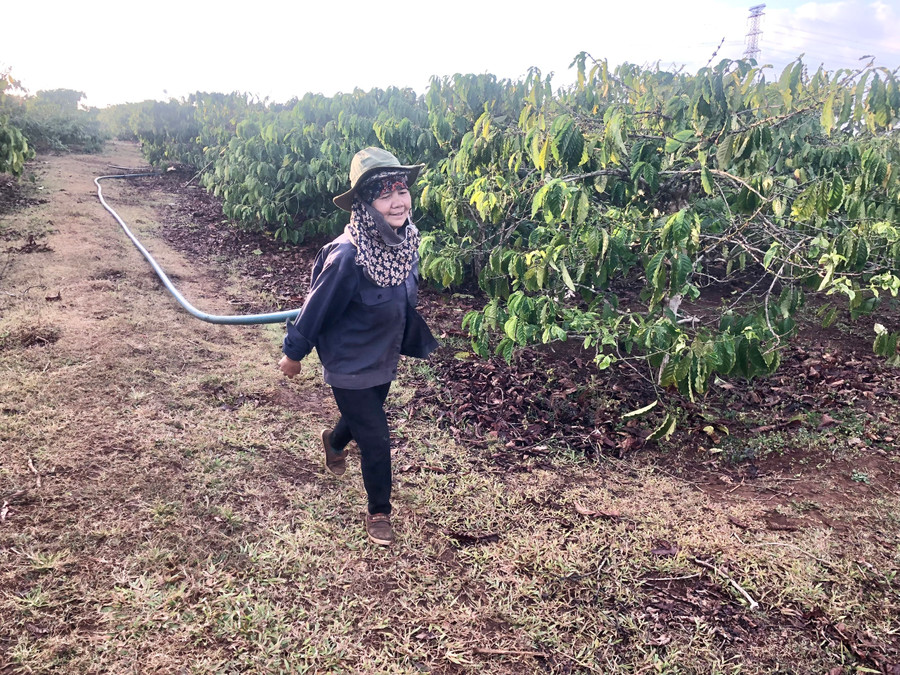 Người dân xã Ia Sao, huyện Ia Grai chuẩn bị tưới cho cây cà phê. Ảnh: Lê Nam Người dân xã Ia Sao, huyện Ia Grai chuẩn bị tưới cho cây cà phê. Ảnh: Lê Nam