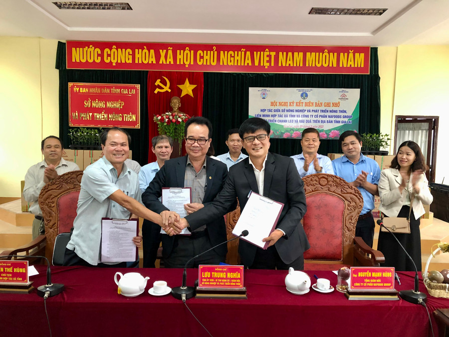 Sở Nông nghiệp và PTNT, Liên minh hợp tác xã tỉnh và Công ty cổ phần Nafoods Group ký kết biên bản ghi nhớ hợp tác về phát triển chanh dây và rau quả. Ảnh: Lê Nam Sở Nông nghiệp và PTNT, Liên minh hợp tác xã tỉnh và Công ty cổ phần Nafoods Group ký kết biên bản ghi nhớ hợp tác về phát triển chanh dây và rau quả. Ảnh: Lê Nam