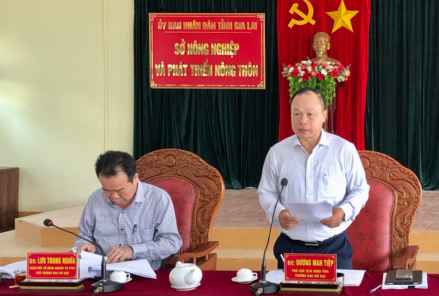 Đồng chí Dương Mah Tiệp-Phó Chủ tịch UBND, Trưởng Ban Chỉ đạo Chương trình phát triển lâm nghiệp bền vững tỉnh phát biểu chỉ đạo cuộc họp. Ảnh: Lê Nam Đồng chí Dương Mah Tiệp-Phó Chủ tịch UBND, Trưởng Ban Chỉ đạo Chương trình phát triển lâm nghiệp bền vững tỉnh phát biểu chỉ đạo cuộc họp. Ảnh: Lê Nam