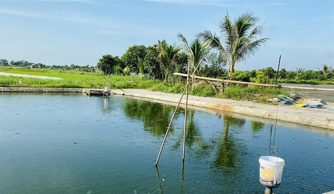 Khu vực ao nuôi chạch, nơi xảy ra sự việc thương tâm. Ảnh: Báo Hải Dương Khu vực ao nuôi chạch, nơi xảy ra sự việc thương tâm. Ảnh: Báo Hải Dương