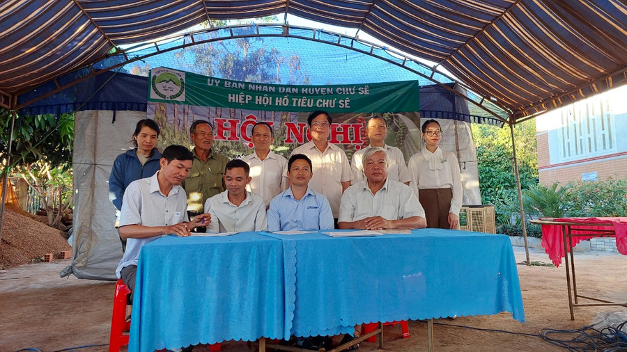 Hiệp hội Hồ tiêu Chư Sê, các doanh nghiệp và Chi hội hồ tiêu 2 xã Bar Măih và Bờ Ngoong ký biên bản ghi nhớ. Ảnh: Nguyễn Diệp Hiệp hội Hồ tiêu Chư Sê, các doanh nghiệp và Chi hội hồ tiêu 2 xã Bar Măih và Bờ Ngoong ký biên bản ghi nhớ. Ảnh: Nguyễn Diệp