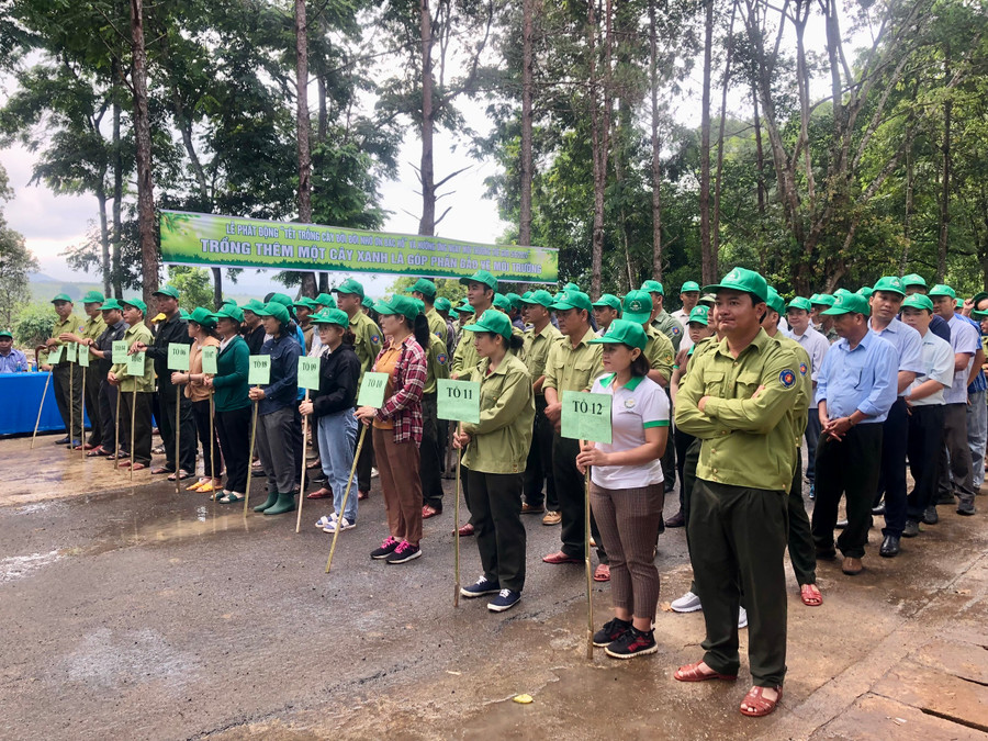 Đại diện 54 công đoàn cơ sở trực thuộc Công đoàn ngành Nông nghiệp và PTNT tỉnh Gia Lai và một số hộ dân trên địa bàn xã Ayun (huyện Mang Yang) dự lễ "Tết trồng cây đời đời nhớ ơn Bác Hồ". Ảnh: Lê Nam Đại diện 54 công đoàn cơ sở trực thuộc Công đoàn ngành Nông nghiệp và PTNT tỉnh Gia Lai và một số hộ dân trên địa bàn xã Ayun (huyện Mang Yang) dự lễ "Tết trồng cây đời đời nhớ ơn Bác Hồ". Ảnh: Lê Nam