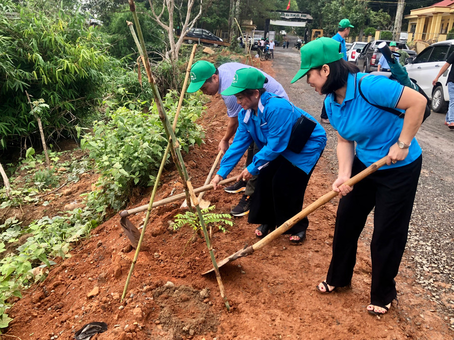 Các đại biểu trồng cây muồng anh đào dọc 2 bên tuyến đường từ trung tâm xã Ayun (huyện Mang Yang) đến Vườn Quốc gia Kon Ka Kinh. Ảnh: Lê Nam Các đại biểu trồng cây muồng anh đào dọc 2 bên tuyến đường từ trung tâm xã Ayun (huyện Mang Yang) đến Vườn Quốc gia Kon Ka Kinh. Ảnh: Lê Nam