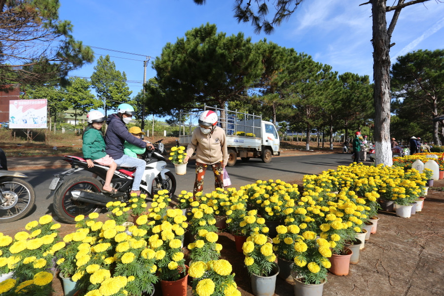 Hoa cúc vạn thọ bày bán ở đường vào Nghĩa trang. Ảnh: Văn Ngọc Hoa cúc vạn thọ bày bán ở đường vào Nghĩa trang. Ảnh: Văn Ngọc