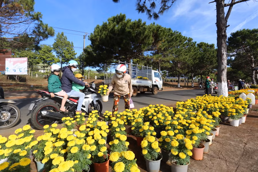 Hoa cúc vạn thọ bày bán ở đường vào Nghĩa trang. Ảnh: Văn Ngọc