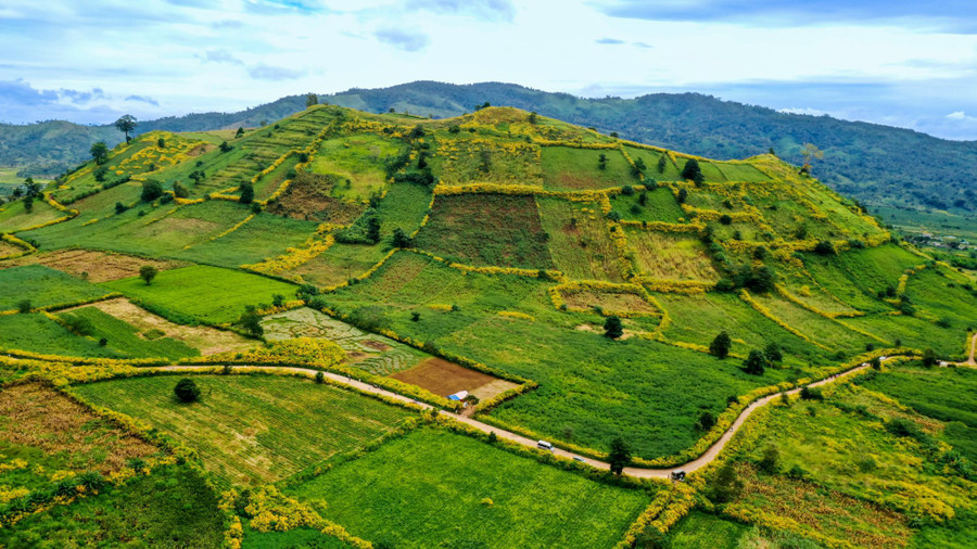 Núi lửa Chư Đang Ya đang vào mùa đẹp nhất trong năm. Ảnh: Bi Ly