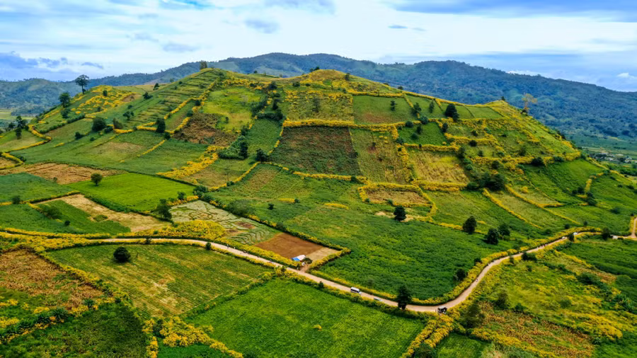 Núi lửa Chư Đang Ya đang vào mùa đẹp nhất trong năm. Ảnh: Bi Ly