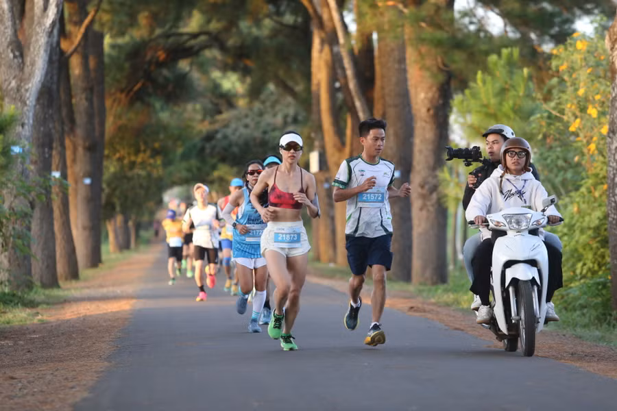 Hàng thông trăm tuổi là cung đường đẹp được nhiều runner ưa thích. Ảnh: Văn Ngọc