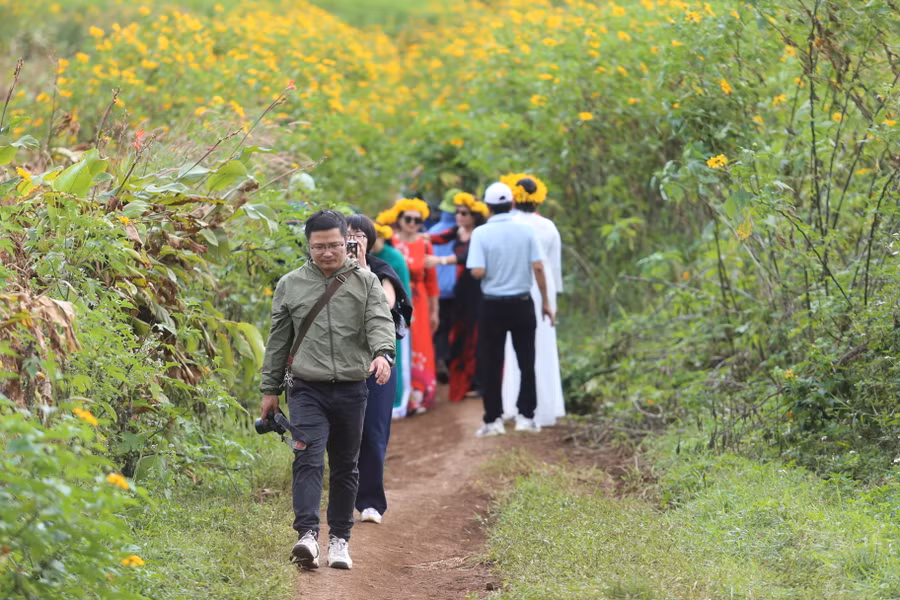 Nhiều du khách thích thú với thử thách chinh phục đỉnh Chư Đang Ya. Ảnh: Văn Ngọc