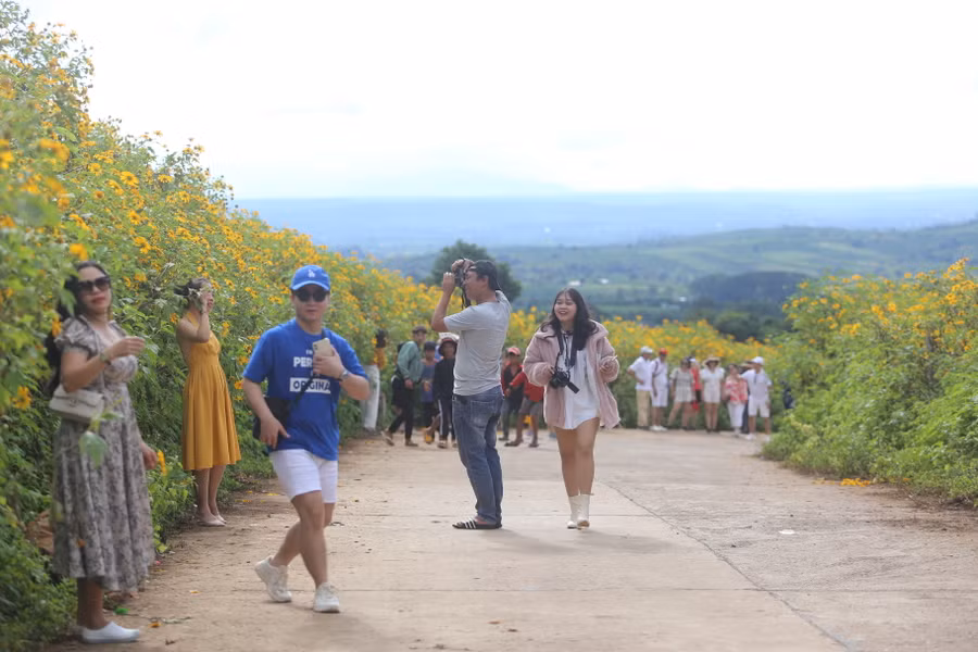 Du khách nườm nượp đổ về đường hoa dưới chân núi lửa để chụp ảnh check-in Ảnh: Văn Ngọc