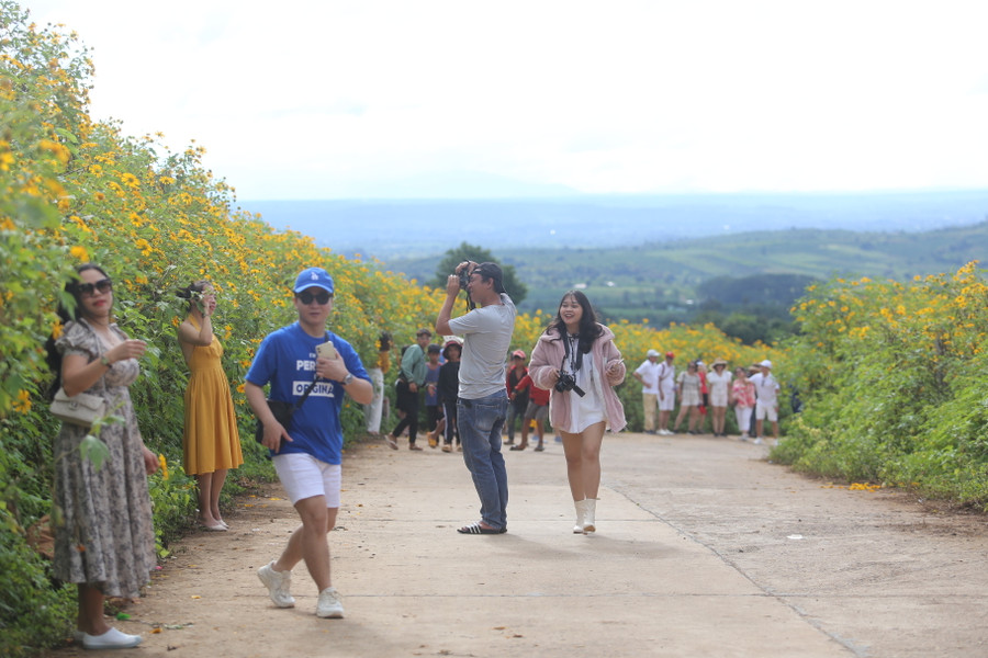 Du khách nườm nượp đổ về đường hoa dưới chân núi lửa để chụp ảnh check-in Ảnh: Văn Ngọc Du khách nườm nượp đổ về đường hoa dưới chân núi lửa để chụp ảnh check-in Ảnh: Văn Ngọc