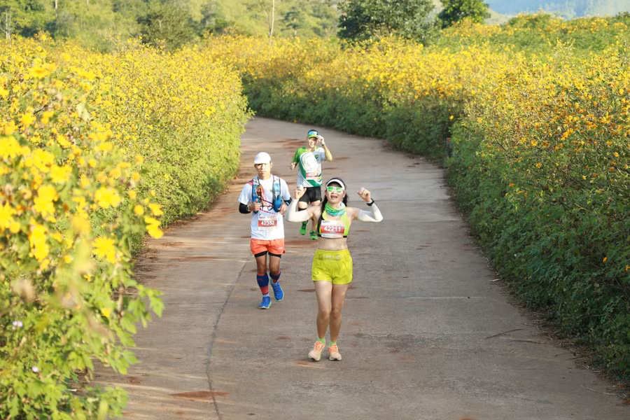 Đường hoa dã quỳ dưới chân núi Chư Đang Ya hút hồn các runner. Ảnh: Doãn Vinh