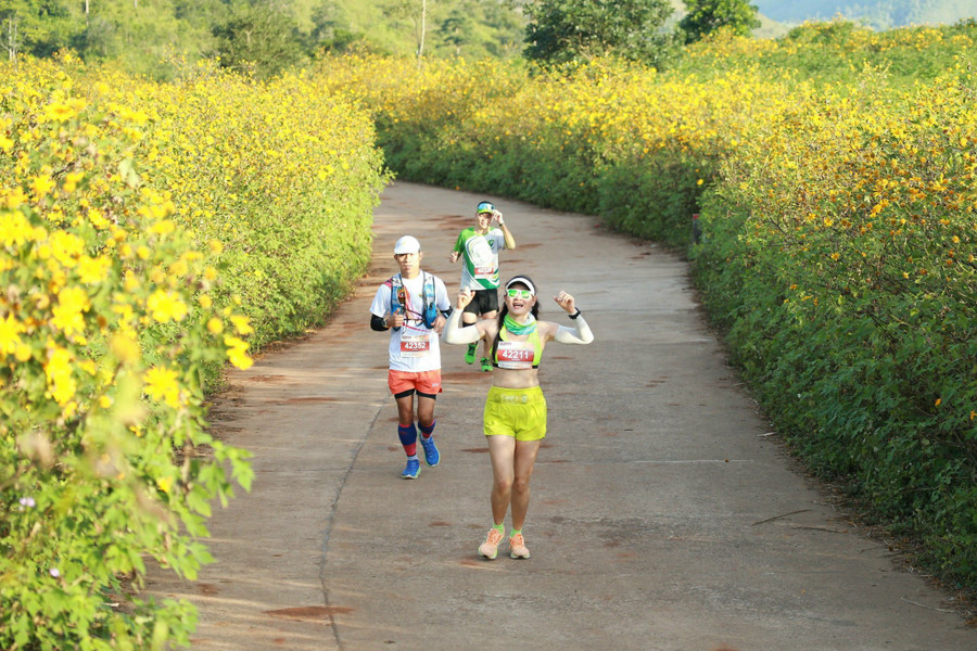 Đường hoa dã quỳ dưới chân núi Chư Đang Ya hút hồn các runner. Ảnh: Doãn Vinh Đường hoa dã quỳ dưới chân núi Chư Đang Ya hút hồn các runner. Ảnh: Doãn Vinh