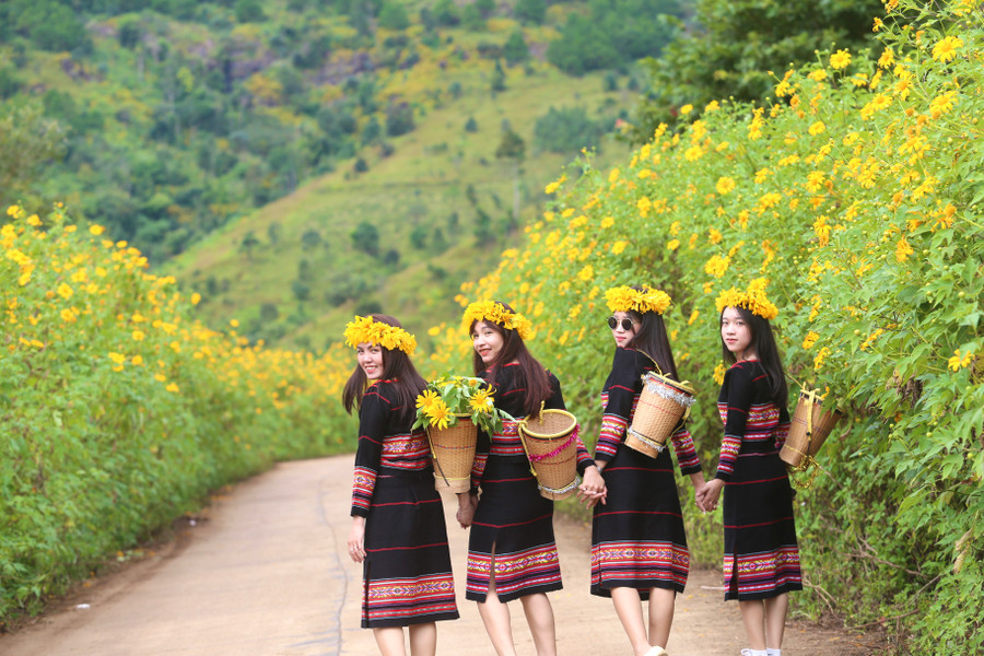 Các thiếu nữ xúng xính trong bộ trang phục truyền thống để chụp ảnh với hoa dã quỳ. Ảnh: Văn Ngọc