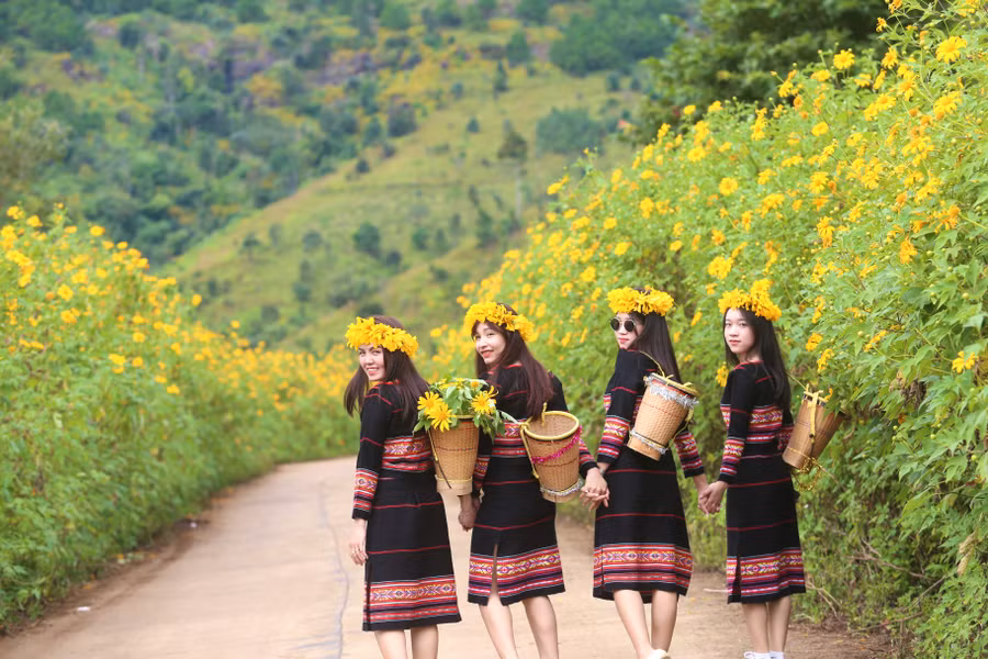 Các thiếu nữ xúng xính trong bộ trang phục truyền thống để chụp ảnh với hoa dã quỳ. Ảnh: Văn Ngọc