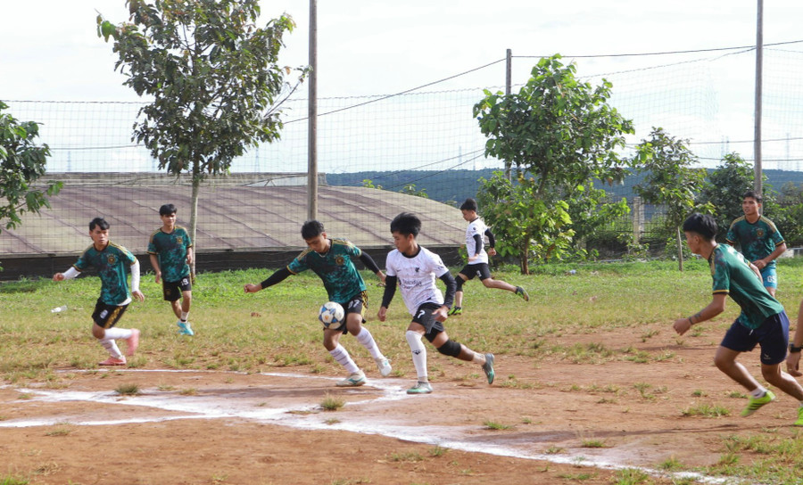 Gần 500 học sinh-sinh viên tham gia ở giải đấu năm nay. Ảnh: Minh Tú