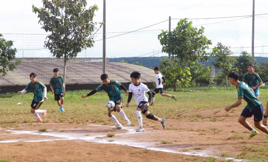 Gần 500 học sinh-sinh viên tham gia ở giải đấu năm nay. Ảnh: Minh Tú