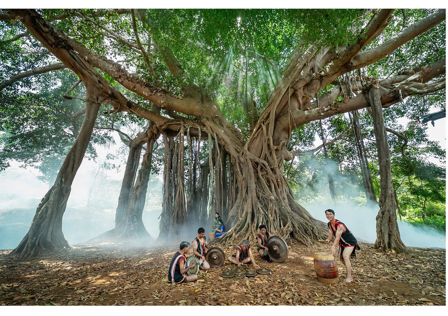 Tác phẩm "Bên cây đa di sản làng Ghè", một trong những tác phẩm sẽ được trưng bày tại triển lãm. Ảnh: Nguyễn Linh Vinh Quốc Tác phẩm "Bên cây đa di sản làng Ghè", một trong những tác phẩm sẽ được trưng bày tại triển lãm. Ảnh: Nguyễn Linh Vinh Quốc