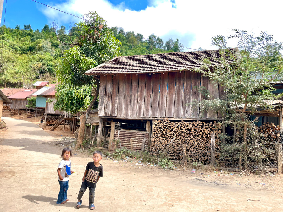 Gầm nhà sàn đã chất đầy củi, dấu hiệu của sự no đủ. Ảnh: Lam Nguyên Gầm nhà sàn đã chất đầy củi, dấu hiệu của sự no đủ. Ảnh: Lam Nguyên