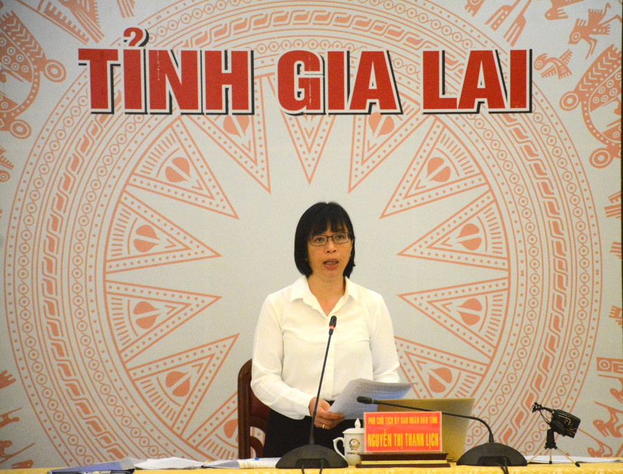 Phó Chủ tịch phụ trách UBND tỉnh Nguyễn Thị Thanh Lịch phát biểu kết luận hội nghị. Ảnh: Lam Nguyên Phó Chủ tịch phụ trách UBND tỉnh Nguyễn Thị Thanh Lịch phát biểu kết luận hội nghị. Ảnh: Lam Nguyên