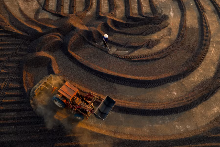 Tác phẩm “Vun đống cà phê quả khô” của tác giả Nguyễn Quang Thành được trao giải khuyến khích.