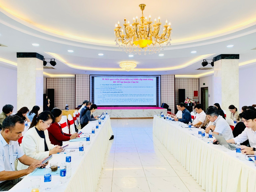 Hội đồng Khoa học kỹ thuật ngành Y tế tỉnh Gia Lai là tổ chức tư vấn về khoa học và công nghệ. Ảnh: Như Nguyện z6073396714118-f2543a0a4ff571b7144d0b6ff22064a0.jpg