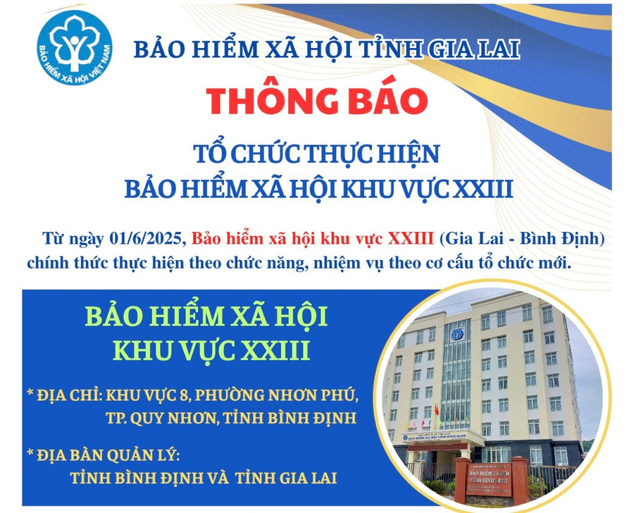 BHXH khu vực XXIII (Gia Lai- Bình Định) thực hiện chức năng, nhiệm vụ theo cơ cấu tổ chức mới từ ngày 1-6-2025. Ảnh: Đơn vị cung cấp z6655193046788-e90e4f352263744ce8936ed90ea2ade7.jpg