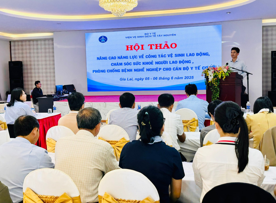 Quang cảnh hội thảo. Ảnh: Như Nguyện z6674186657275-4c47c5e6dea6f6f3e656e2546cd9a47f.jpg